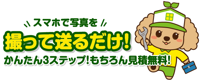 撮って送るだけ！