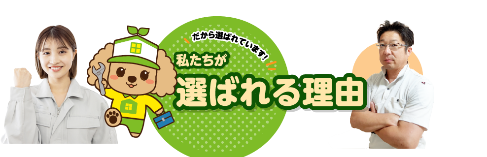 選ばれる理由